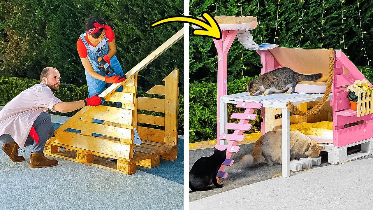 Dream House for Your Cats: DIY Pet Houses