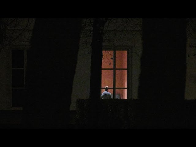 Dutch coalition averts collapse after Finance Secretary quits over racist remarks