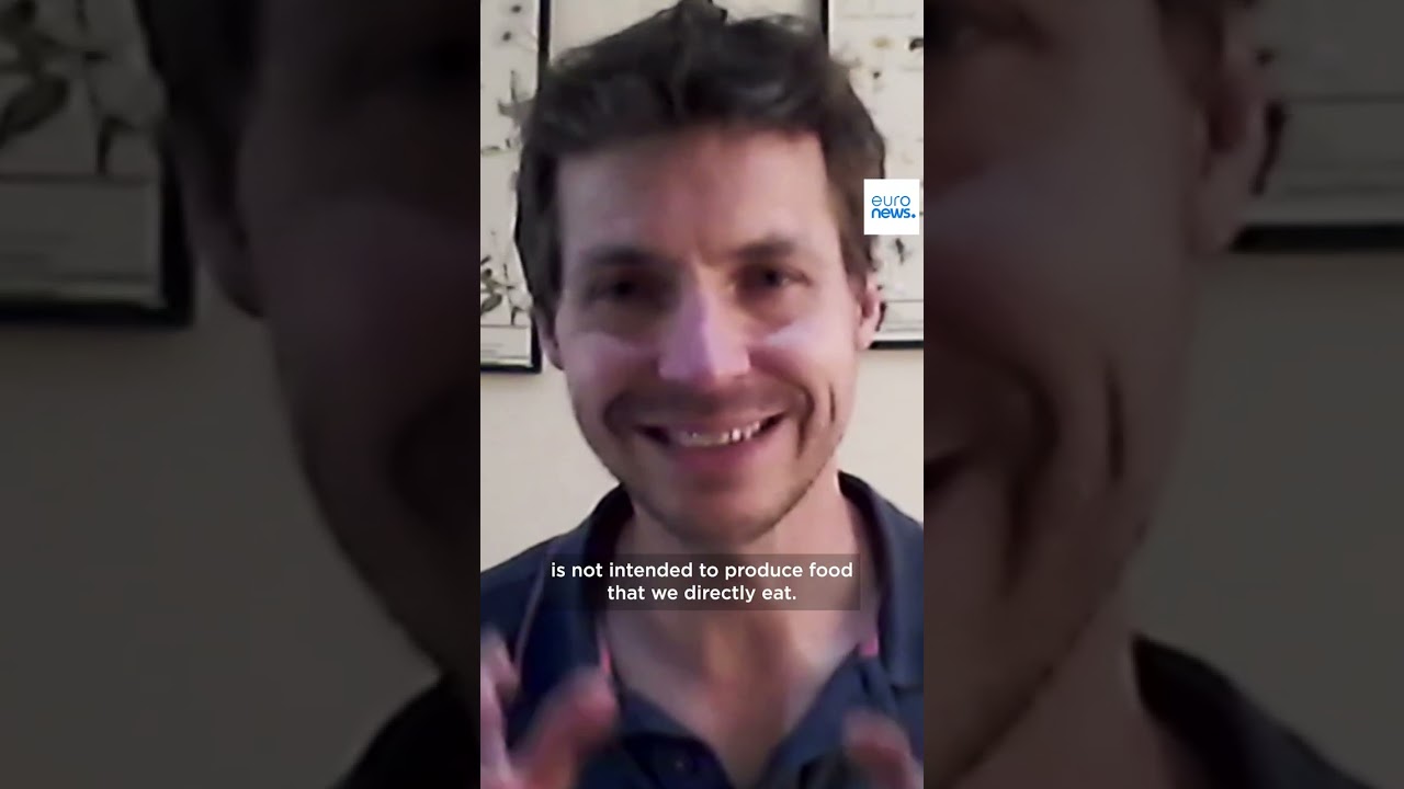 EP5 | The Response: Can Europe better protect citizens from pesticides?