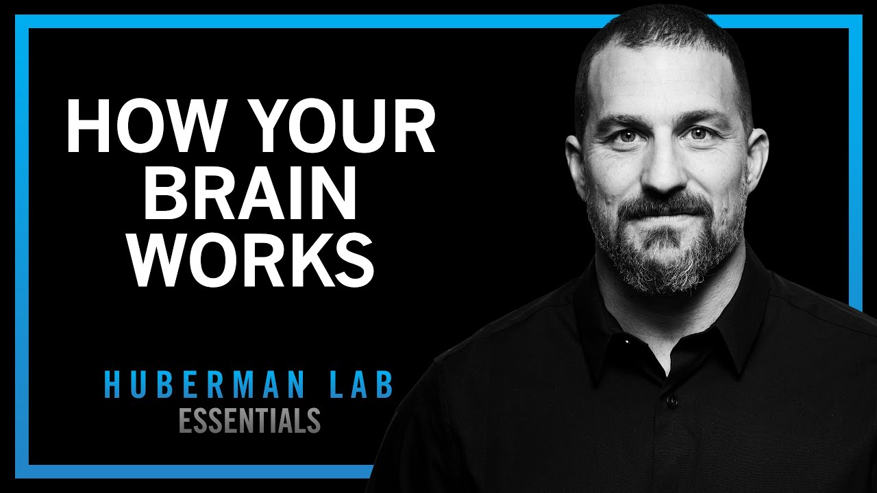 Essentials: How Your Nervous System Works & Changes