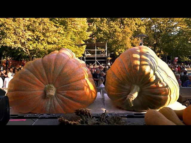 Exploring Serbia’s north: pumpkins, Palić lake, and Subotica’s charm