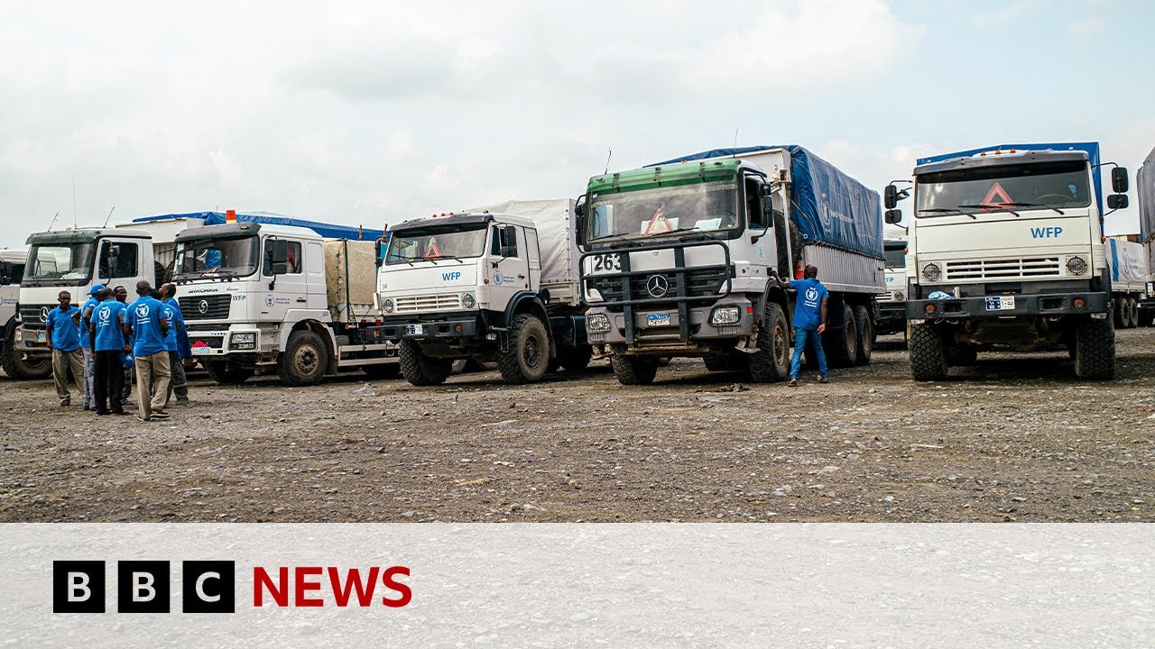 Famine-hit Sudan camp gets first aid convoy in months | BBC News