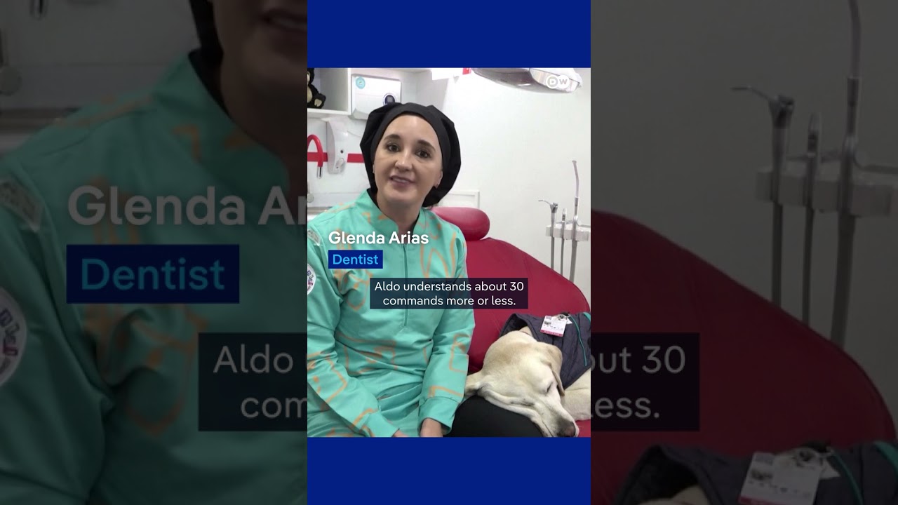 Fear of the dentist: no way! | DW Shorts