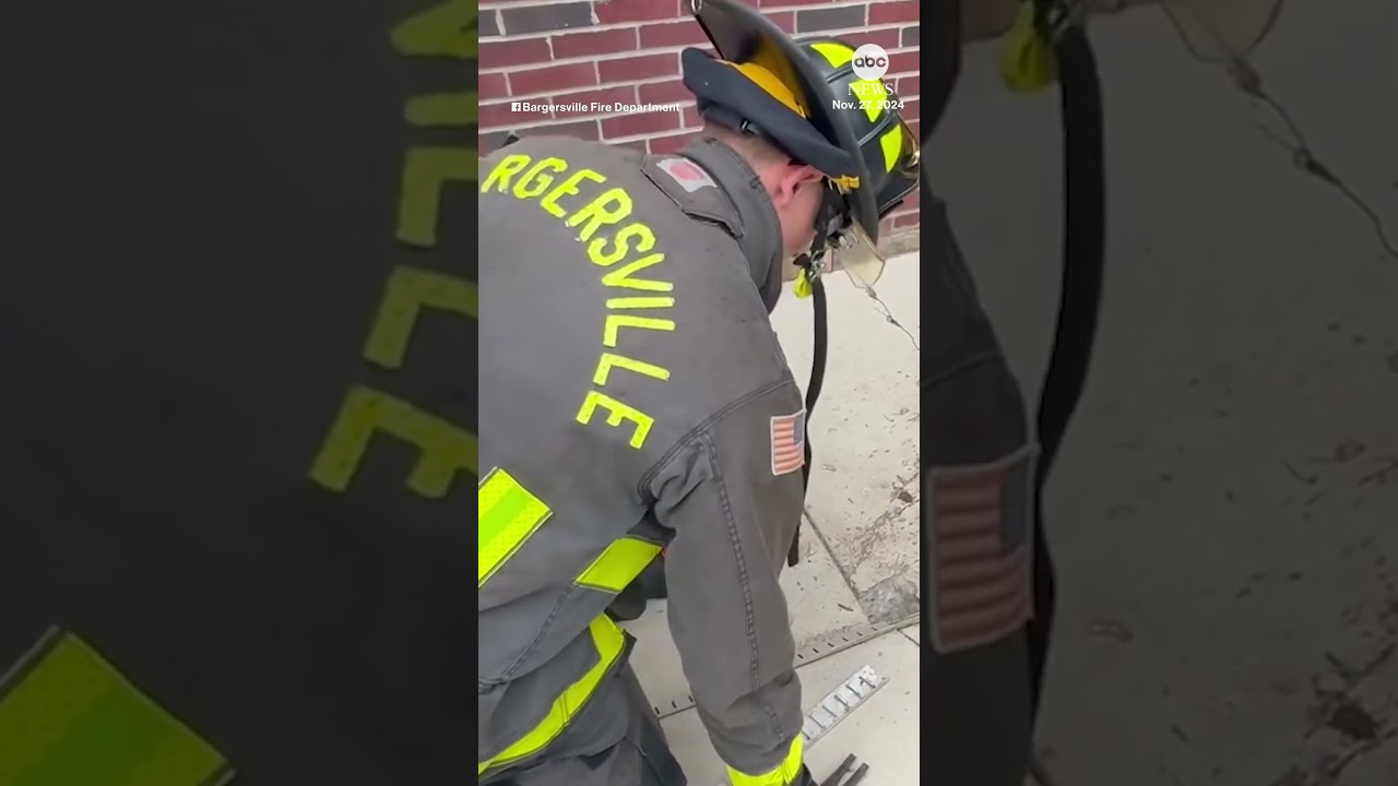 Firefighters rescue cat trapped between house foundation, patio