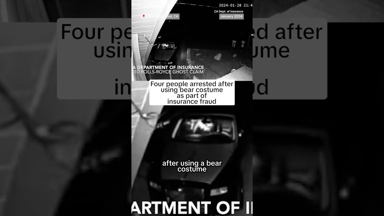 Four people arrested after using bear costume as part of insurance fraud