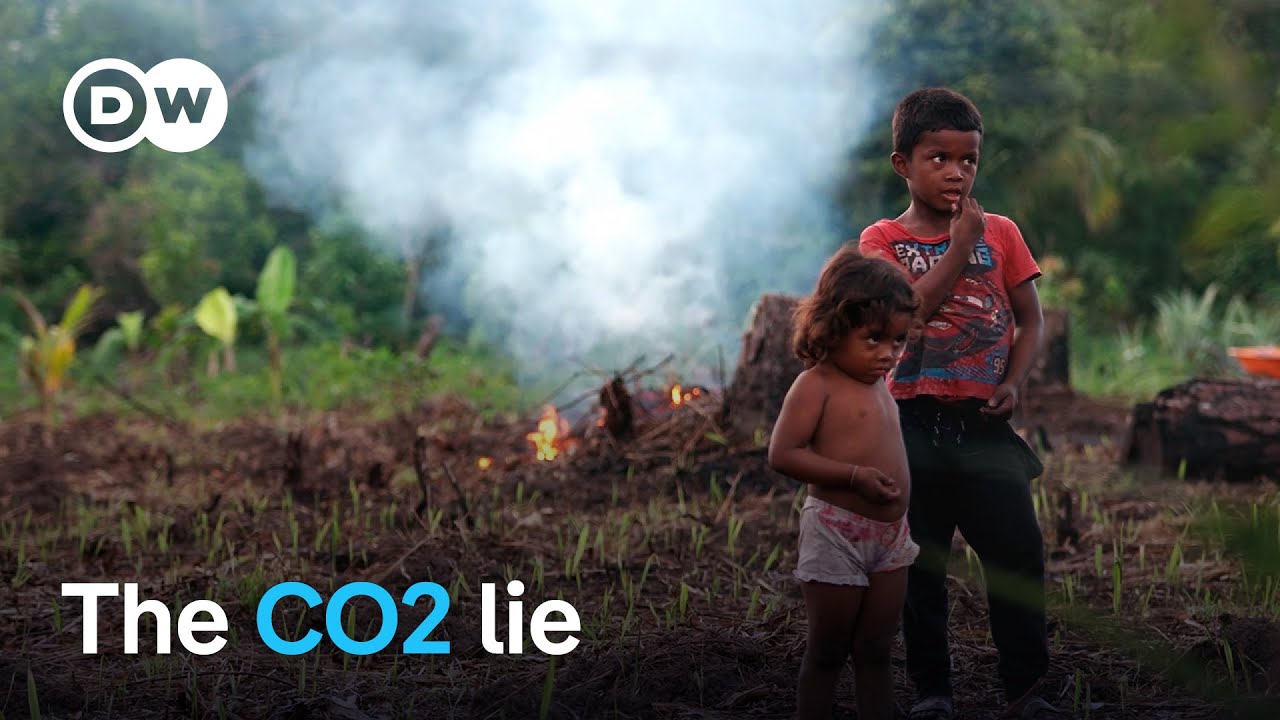 From reforestation to CO2 compensation – Companies’ dirty tricks | DW Documentary