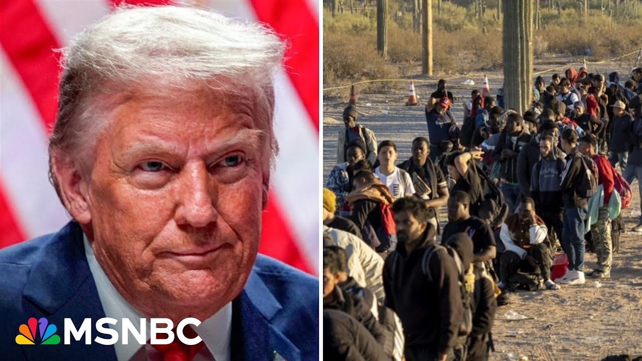 ‘Global solution’: Why Trump’s mass deportations may not fix immigration