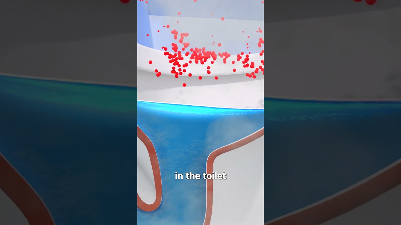 How A Toilet Snorkel Works  😮