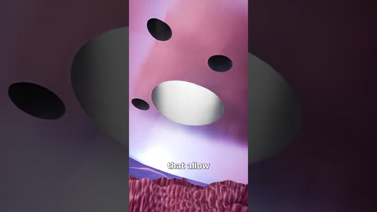 How An Anchor Piercing Works 😮