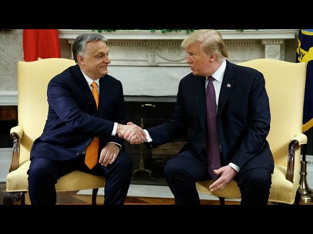 Is Trump’s victory an opportunity or double-edged sword for Europe’s far-right?