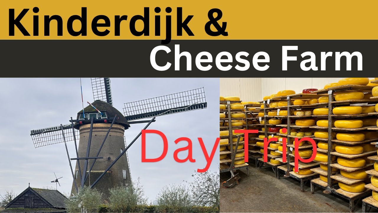 Kinderdijk & Cheese Farm:  Day Trip from Rotterdam, Viking Rhine Get-Away  Excursion