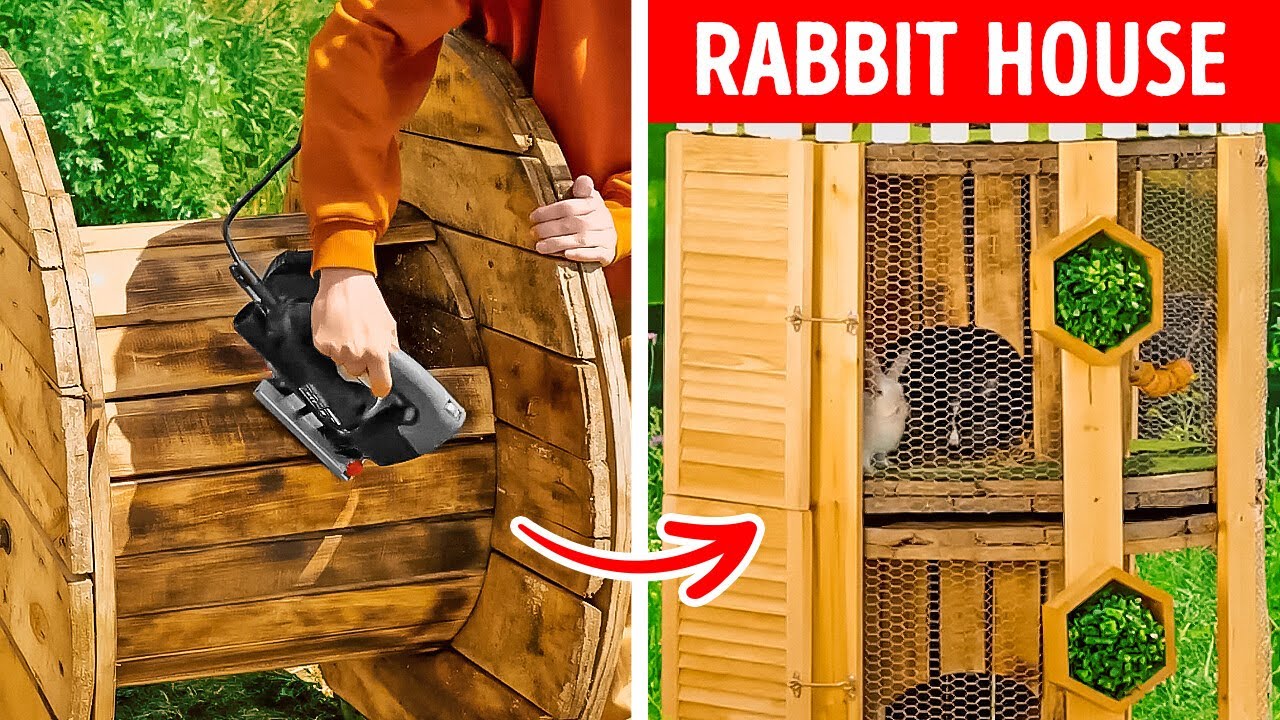 LIVE. Transform Your Backyard into a Stunning Oasis