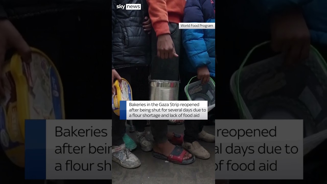 Palestinian children queue up for food