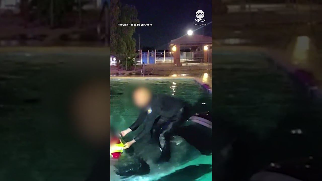 Phoenix police rescue driver from car in swimming pool