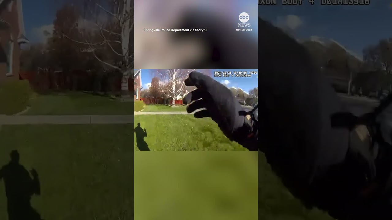 Police chase runaway pig in Utah neighborhood