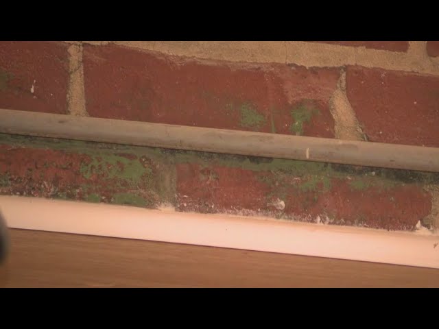 Renovation from hell: Georgia residents said they moved back in with unwanted “guests” | FOX 5 News