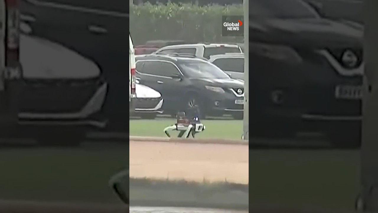 Robot guard dog patrols Trump’s Mar-a-Lago residence