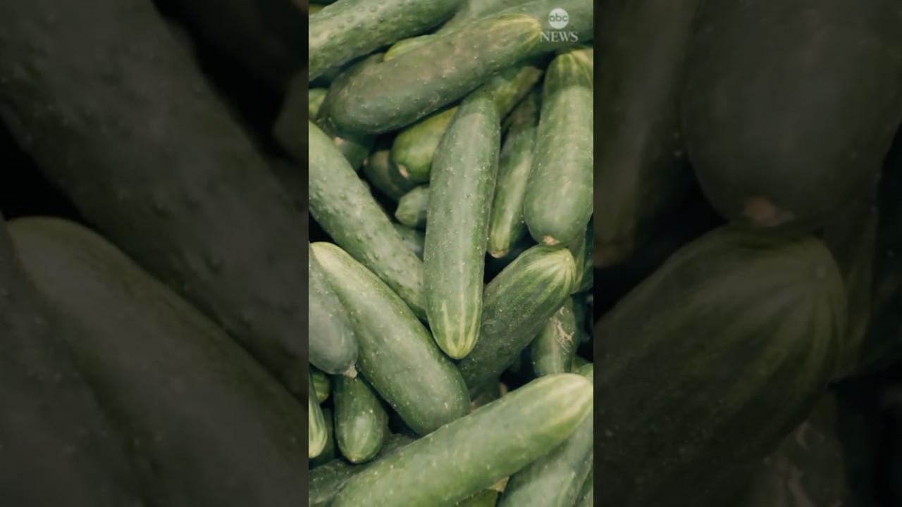 Salmonella outbreak linked to cucumbers