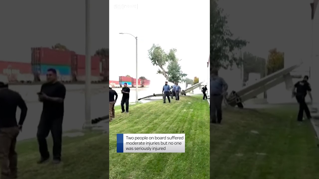 Small plane crashes into tree in California