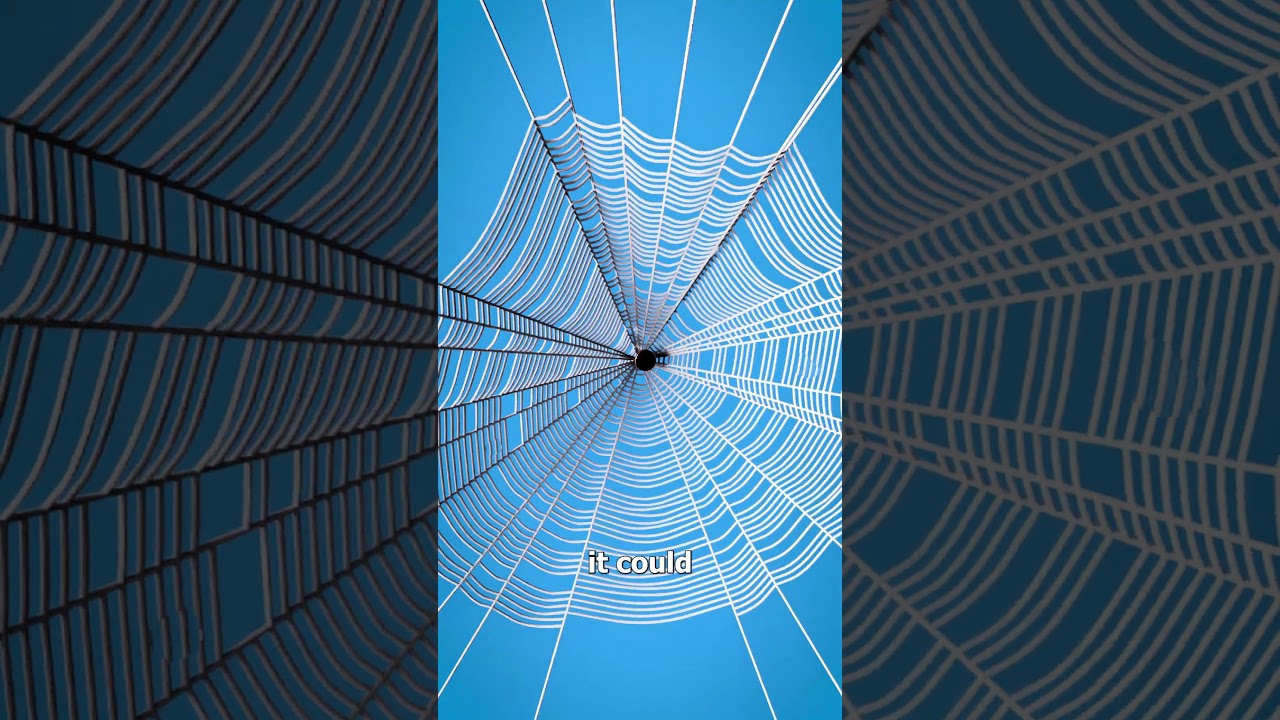 Spider Silk As A Bulletproof Vest? 🤔