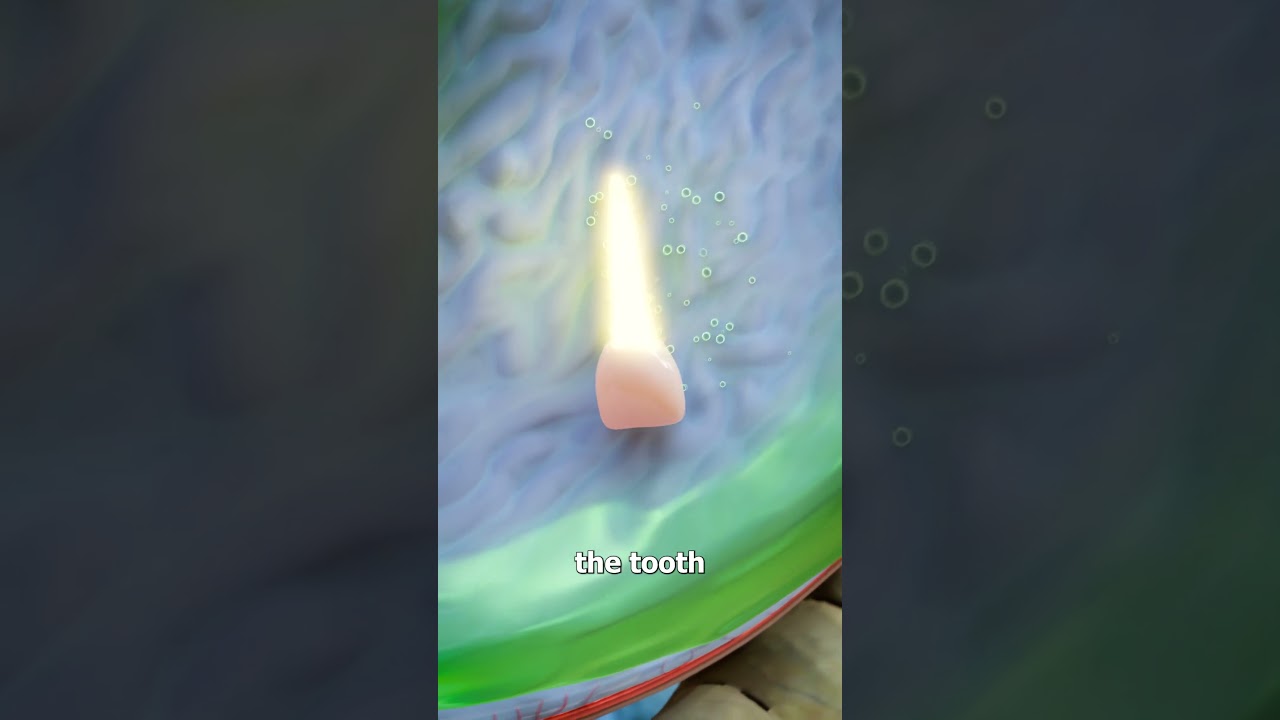 Swallowing A Tooth?! 😬 (what happens?)
