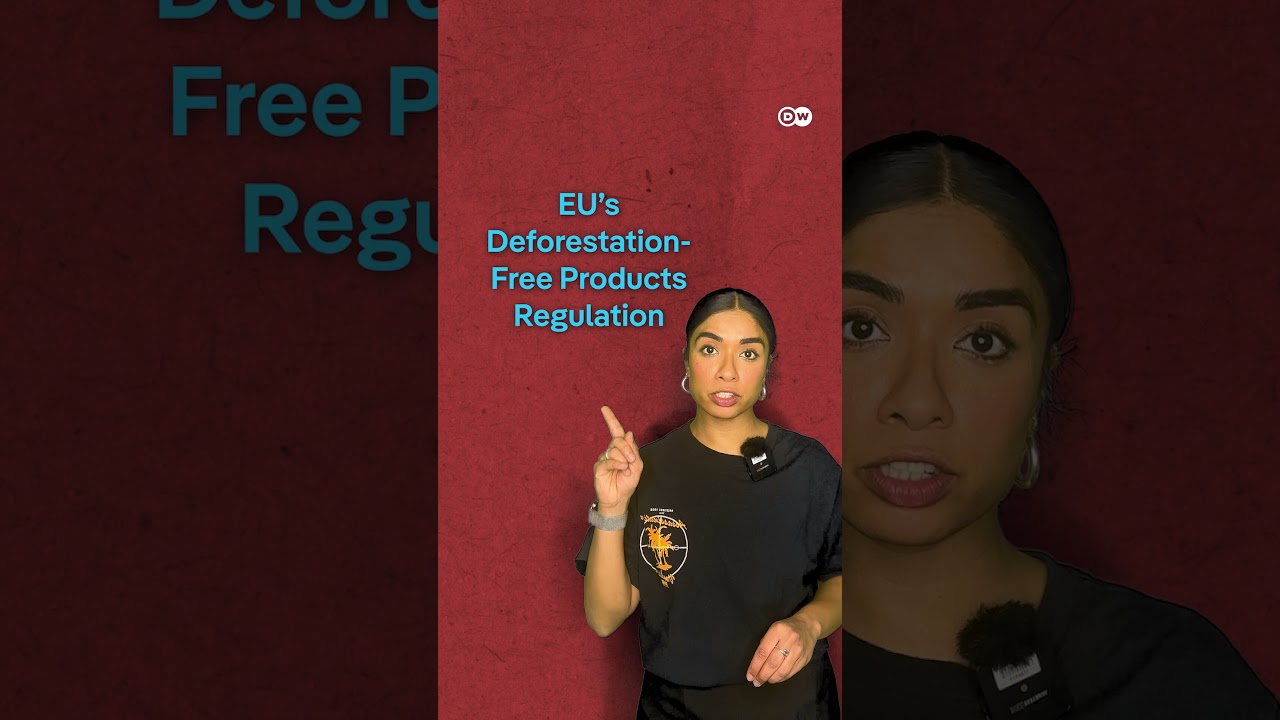 What do BMW cars have to do with the Amazon rainforest? | DW Documentary