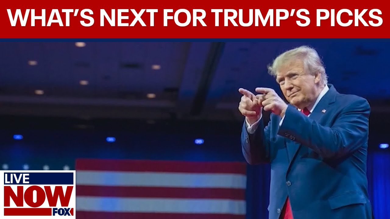 What will it take to confirm Trump’s picks?  | LiveNOW from FOX