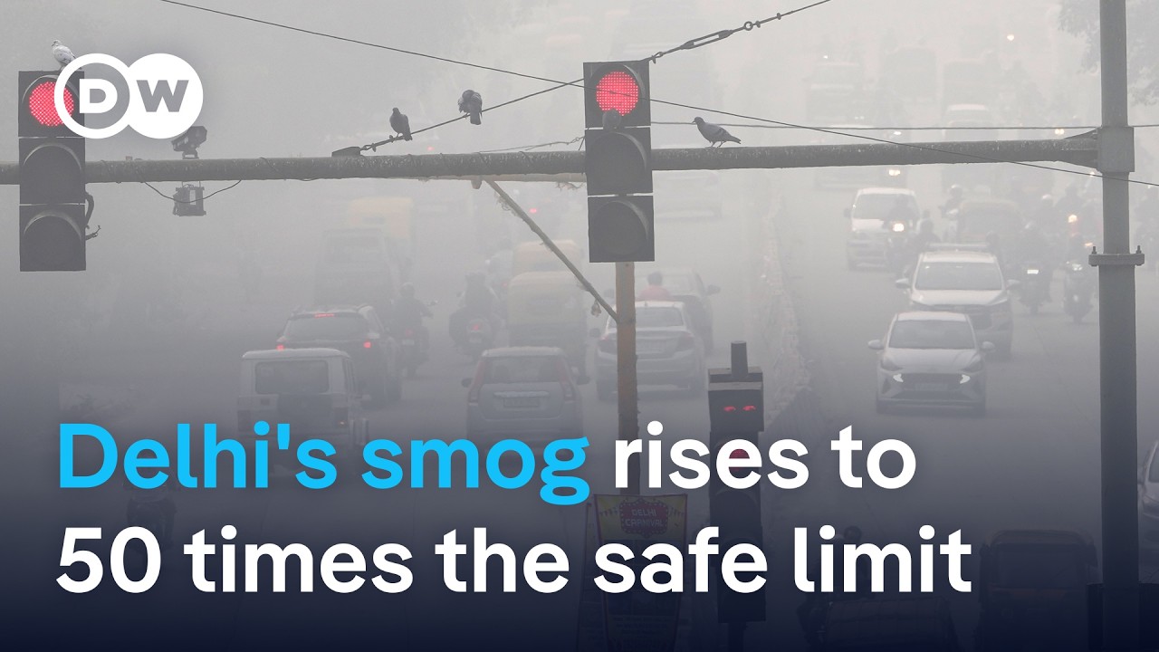Why Delhi can’t get its toxic smog under control | DW News