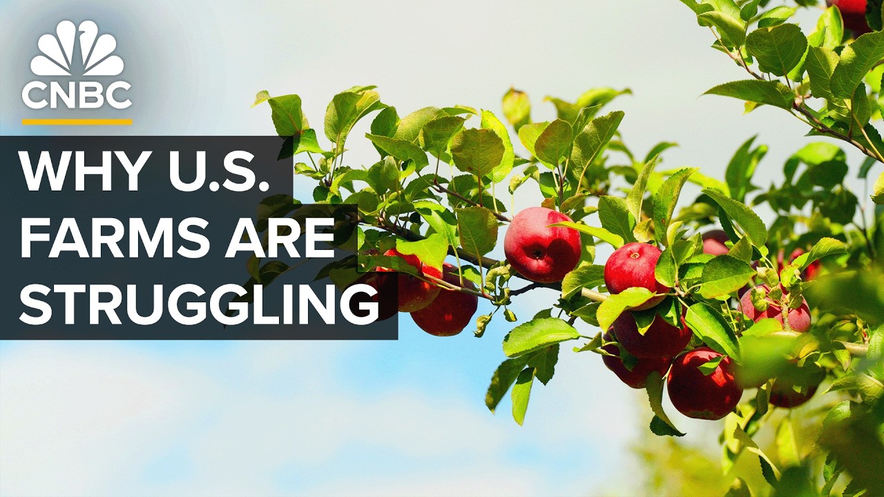 Why The U.S. Isn’t Growing Enough Food