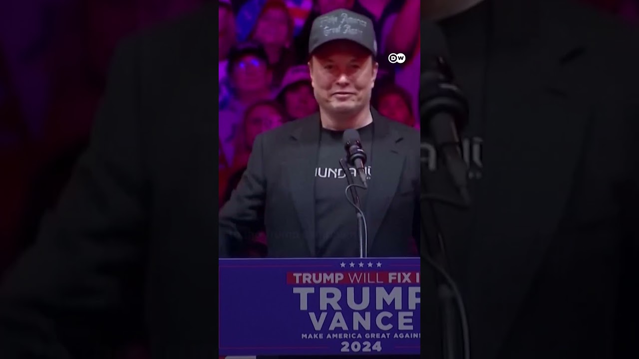 Will Musk and his businesses benefit from his new DOGE department? | DW News