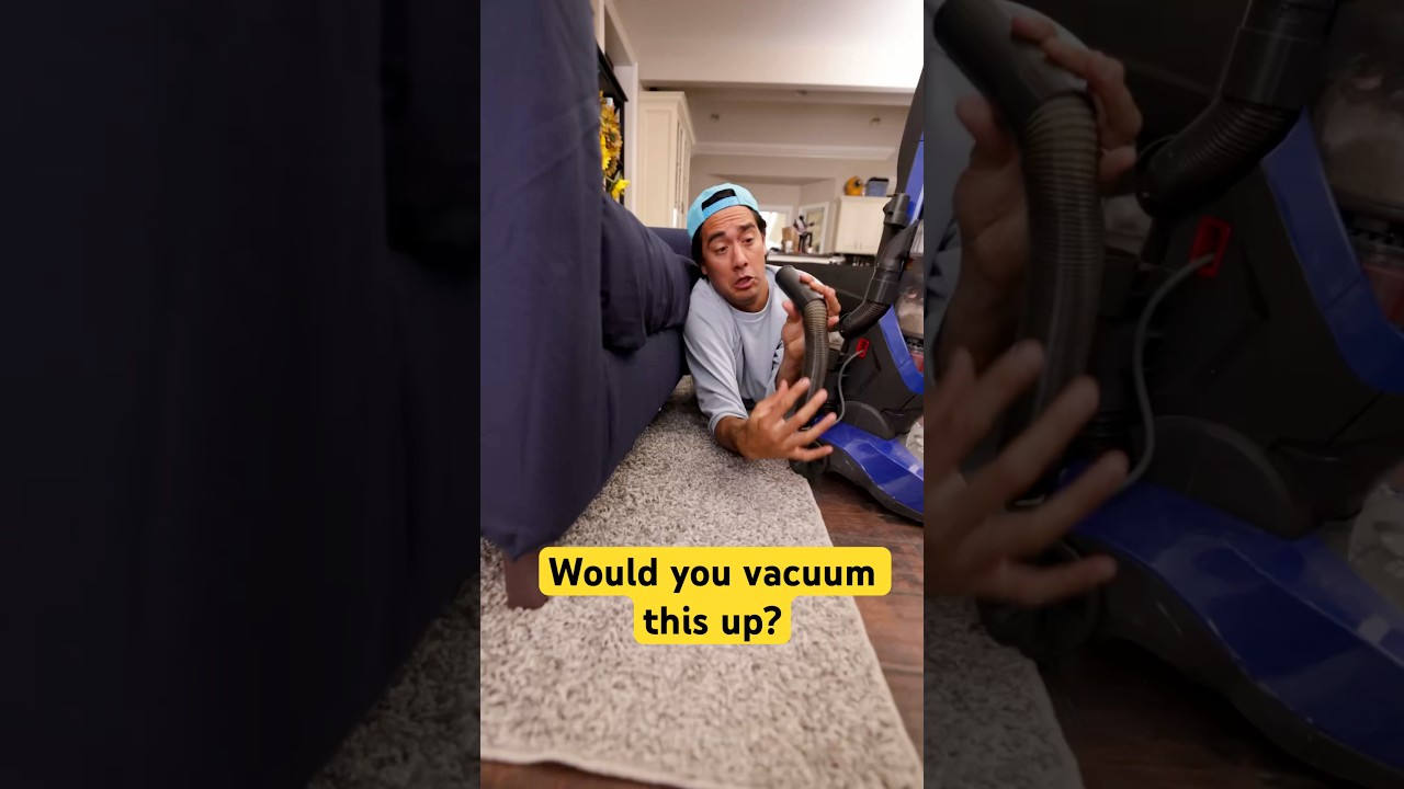 Would you vacuum this up?