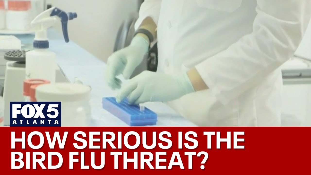 Bird flu mutates inside Louisiana patient | FOX 5 News