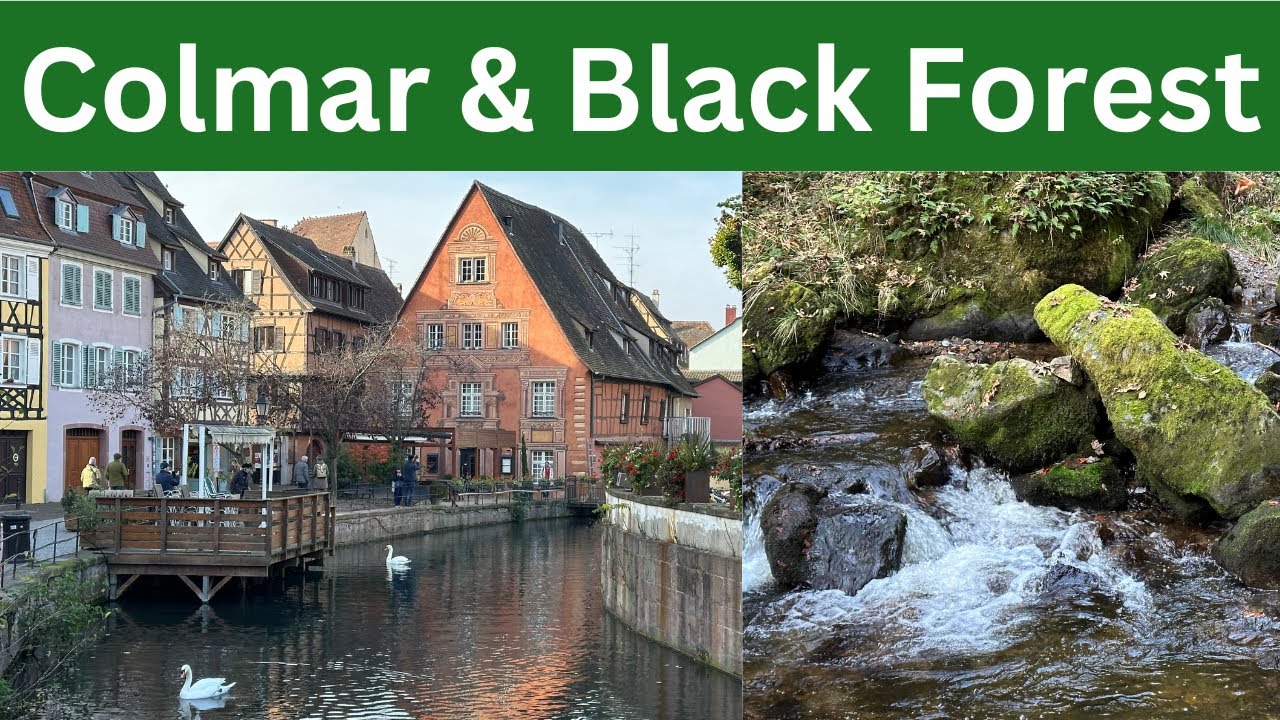 Colmar & Black Forest Day Trip:  Viking Getaway River Cruise Excursions