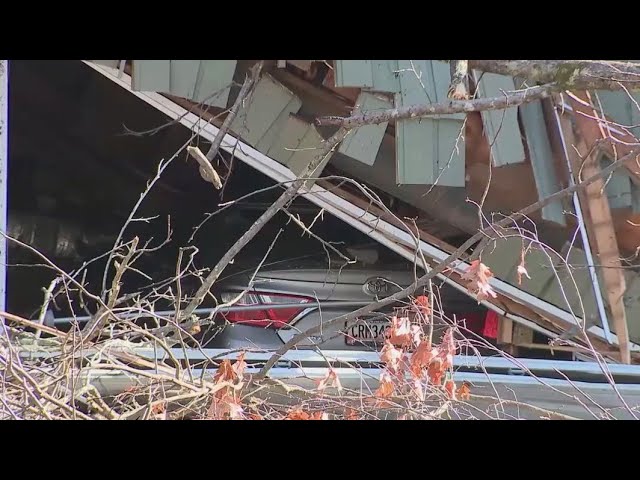 Dad fights to rescue daughter from fallen tree on house | FOX 5 News