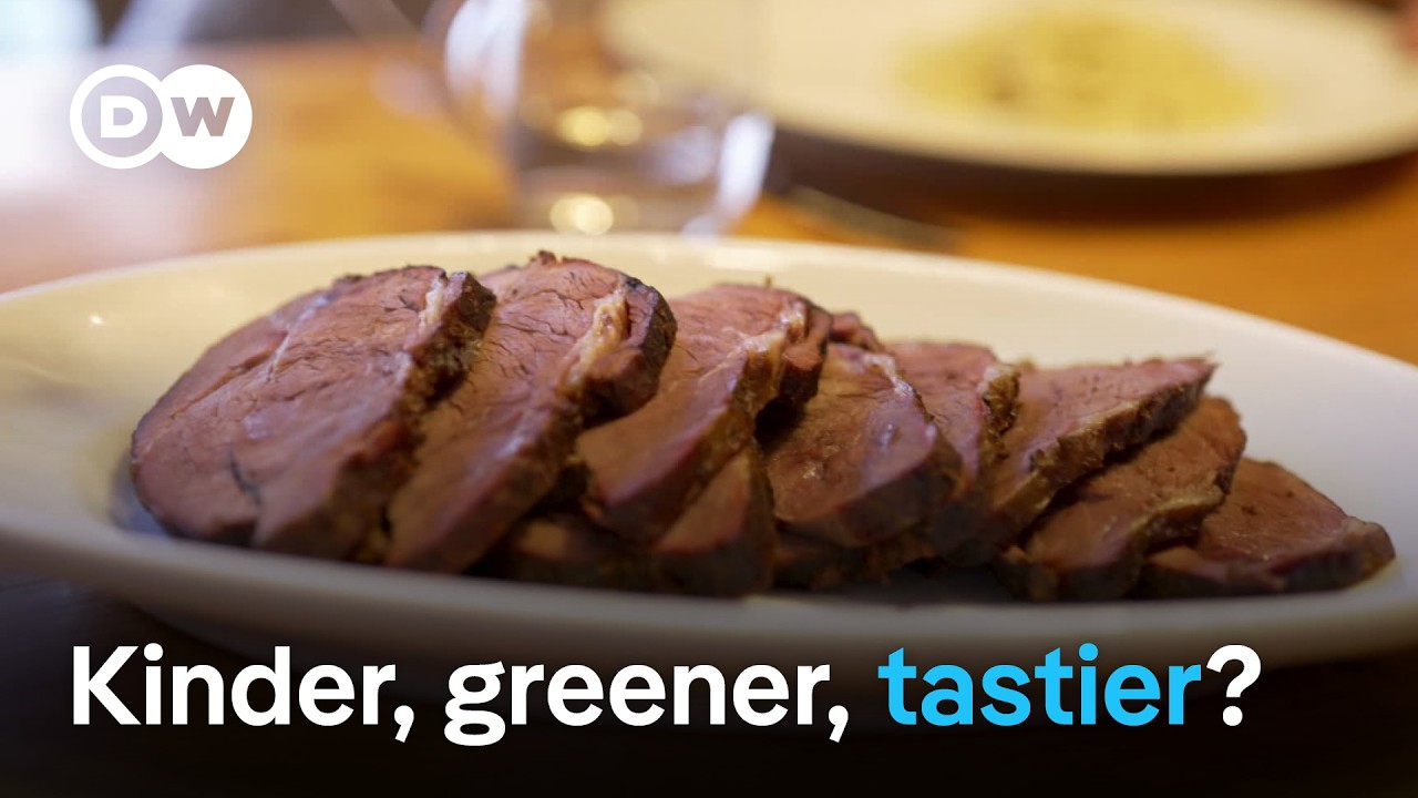 Fake steak – Future-proof food | DW Documentary