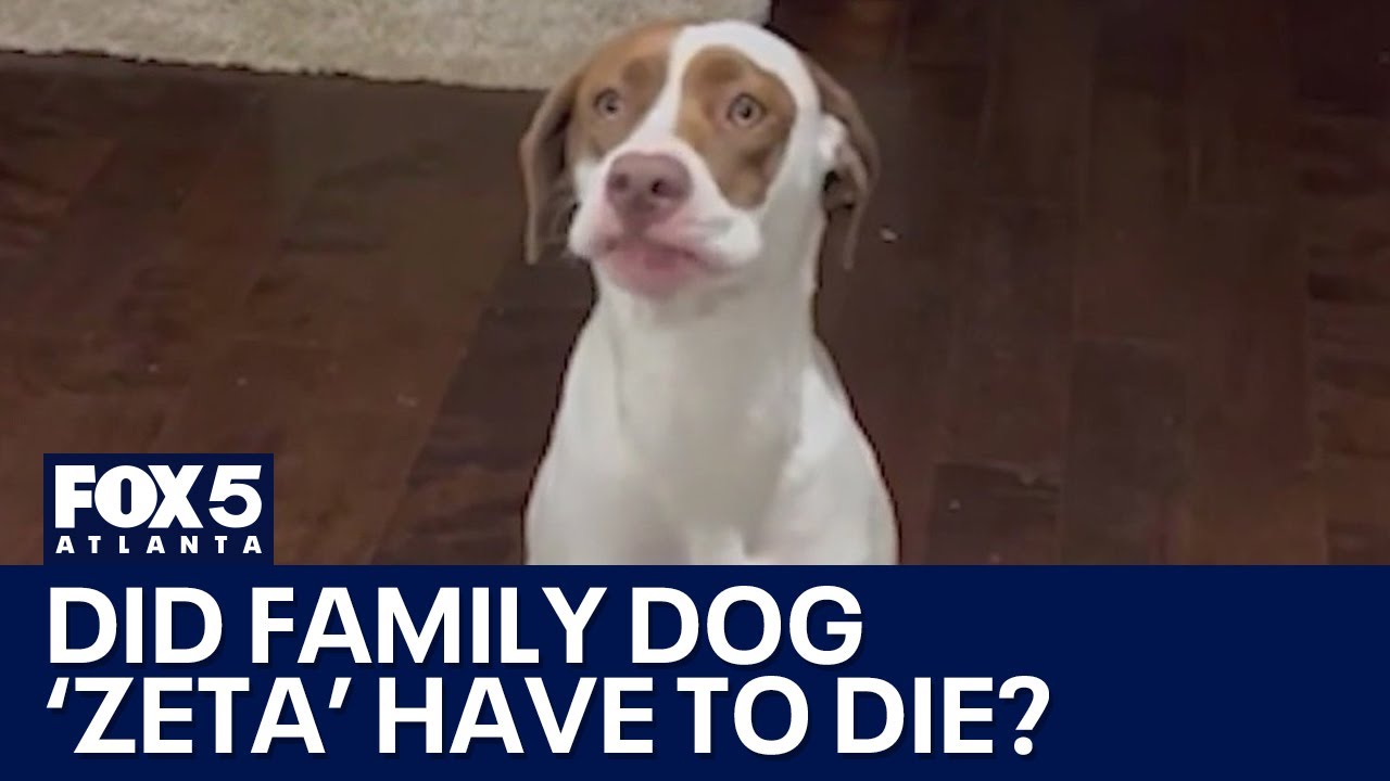 Family disputes police account of fatal dog shooting | FOX 5 News