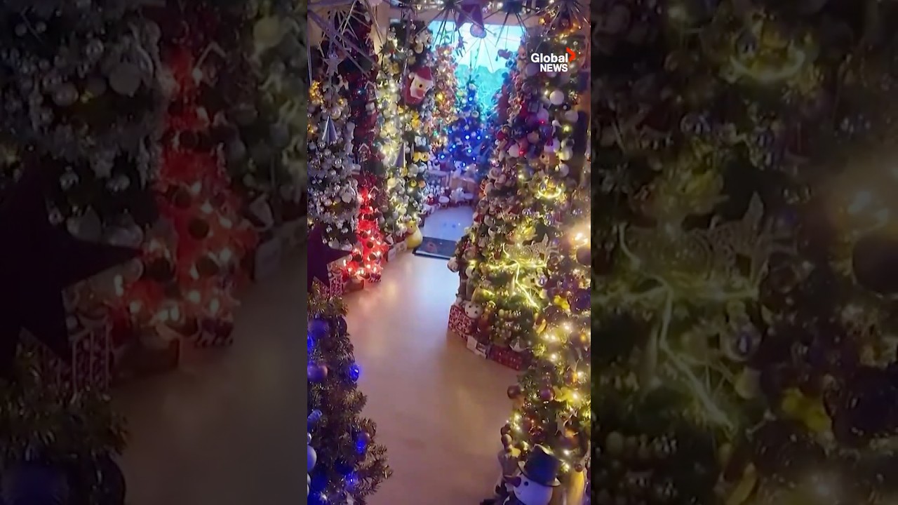 German family sets world record for most Christmas trees 🎄