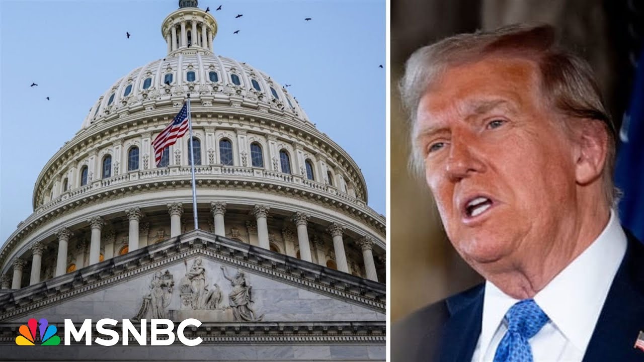 How did government funding become such a ‘big mess’? Democratic Congresswoman breaks it down