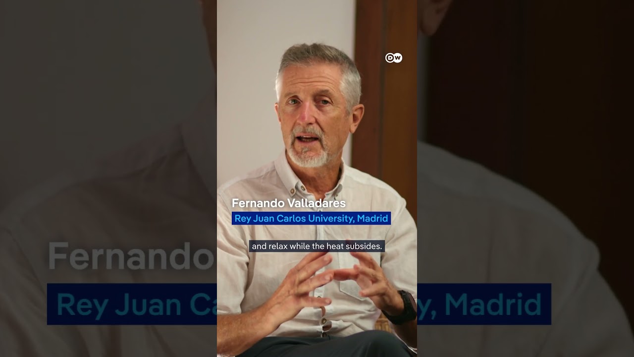 How do we adapt to heatwaves? | DW Documentary