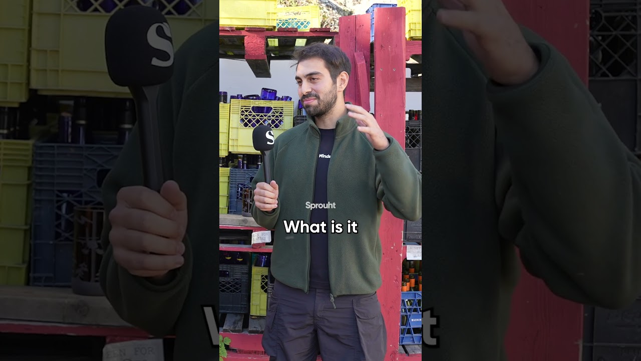 How This 65 Year Old Figured Life Out