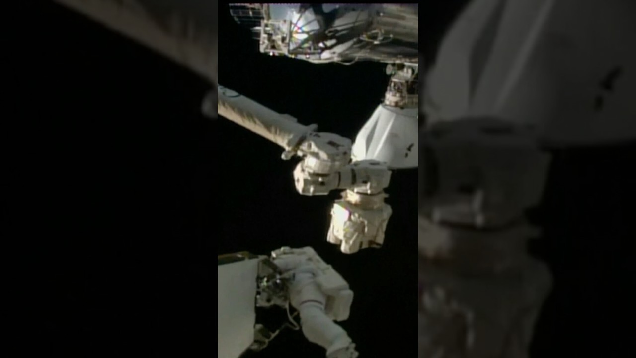 Human cells sent to ISS to help unravel mystery of rapid aging process in space 🚀