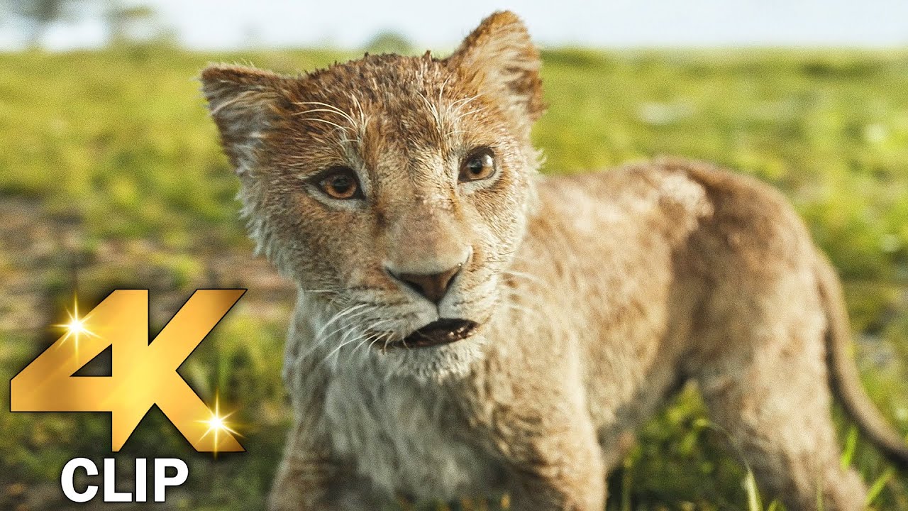“I Always Wanted A Brother” Song Scene | MUFASA THE LION KING (2025) Movie CLIP 4K