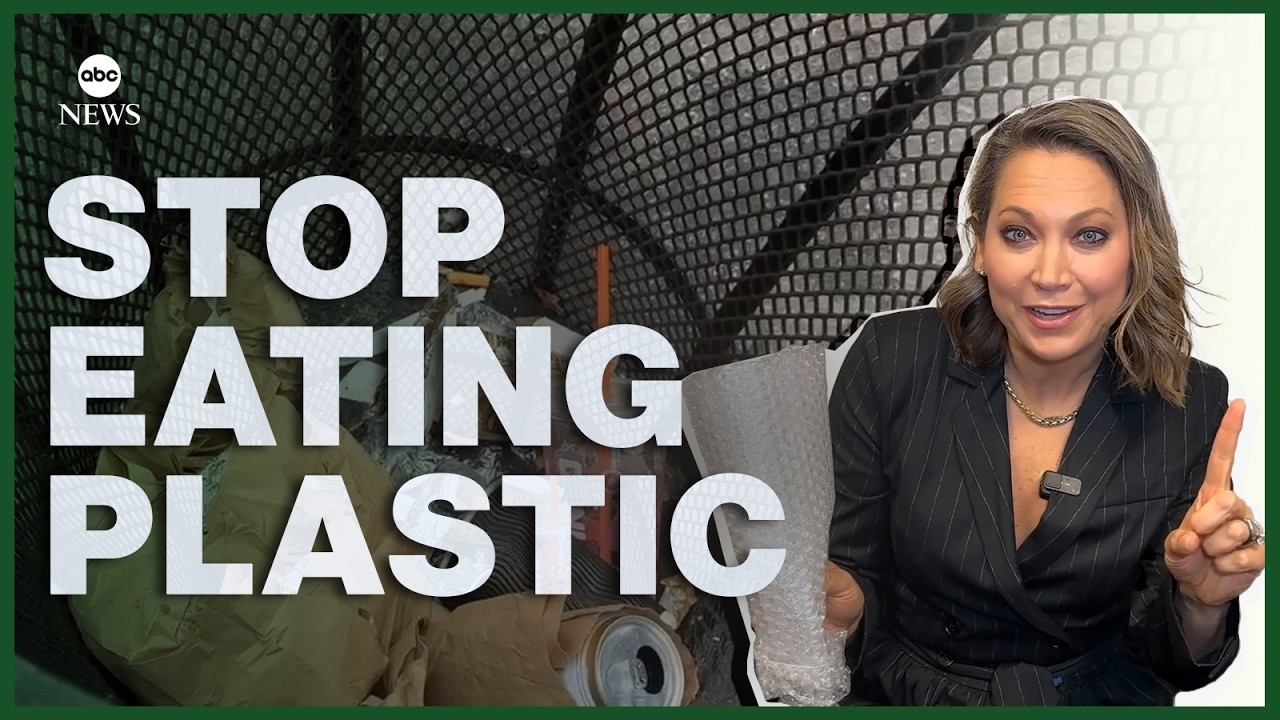 Is recycling enough? Solving the plastic waste problem