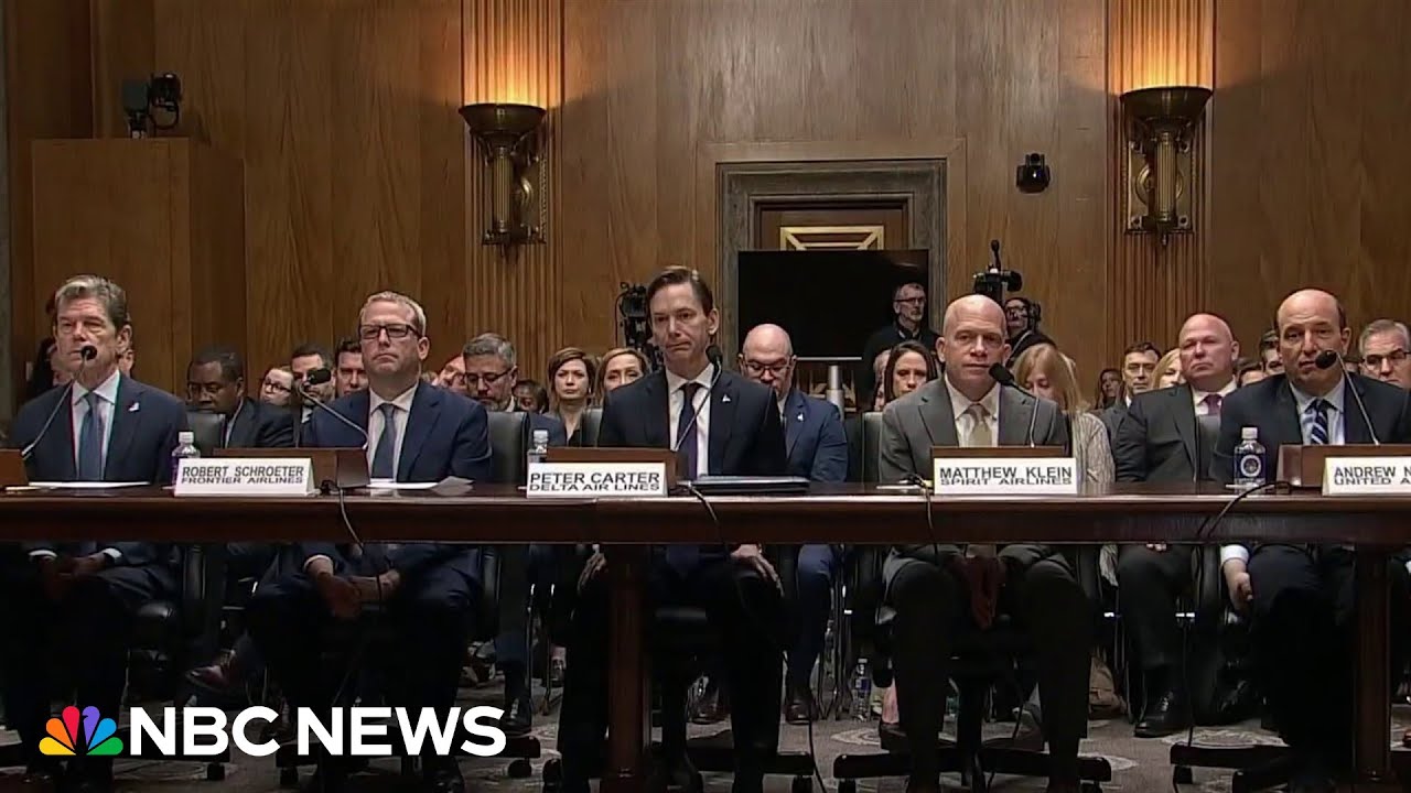 Lawmakers grill top airline executives on added fees