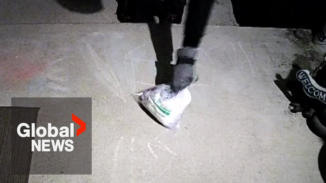 Porch pirate foiled by poopy surprise: “I didn’t plan for revenge… it’s just kind of funny”