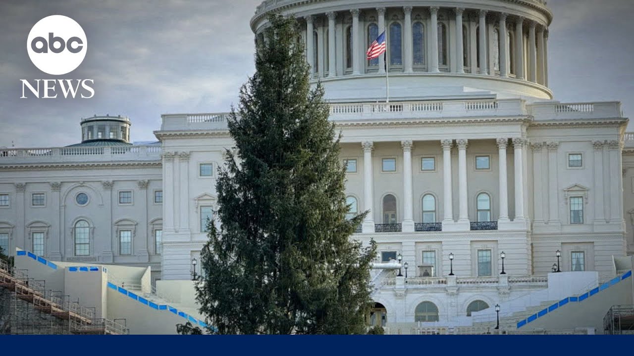 Special delivery to spread holiday cheer, the ‘People’s Tree’!