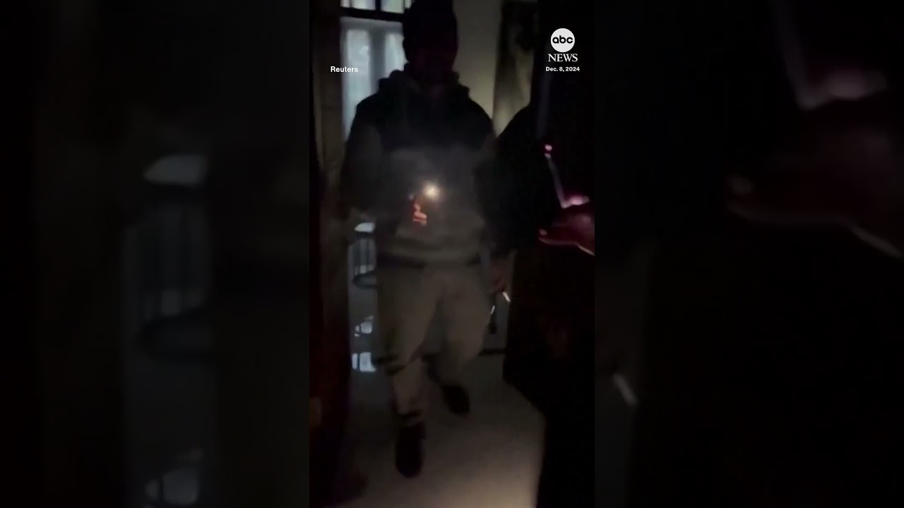 Syrians seen insidepresidential palace after rebels topple government