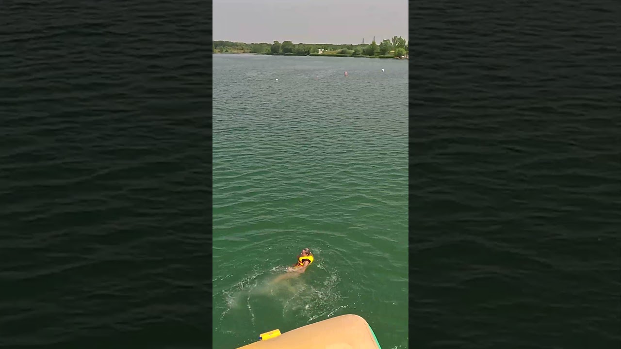 Wibit Balloons 🎈 💦 at Lupa Beach 🇭🇺