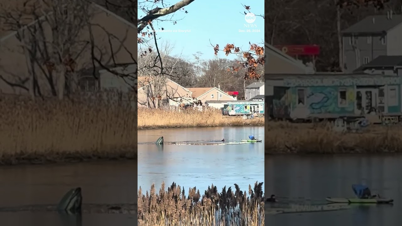 Woman helps rescue man who fell into creek