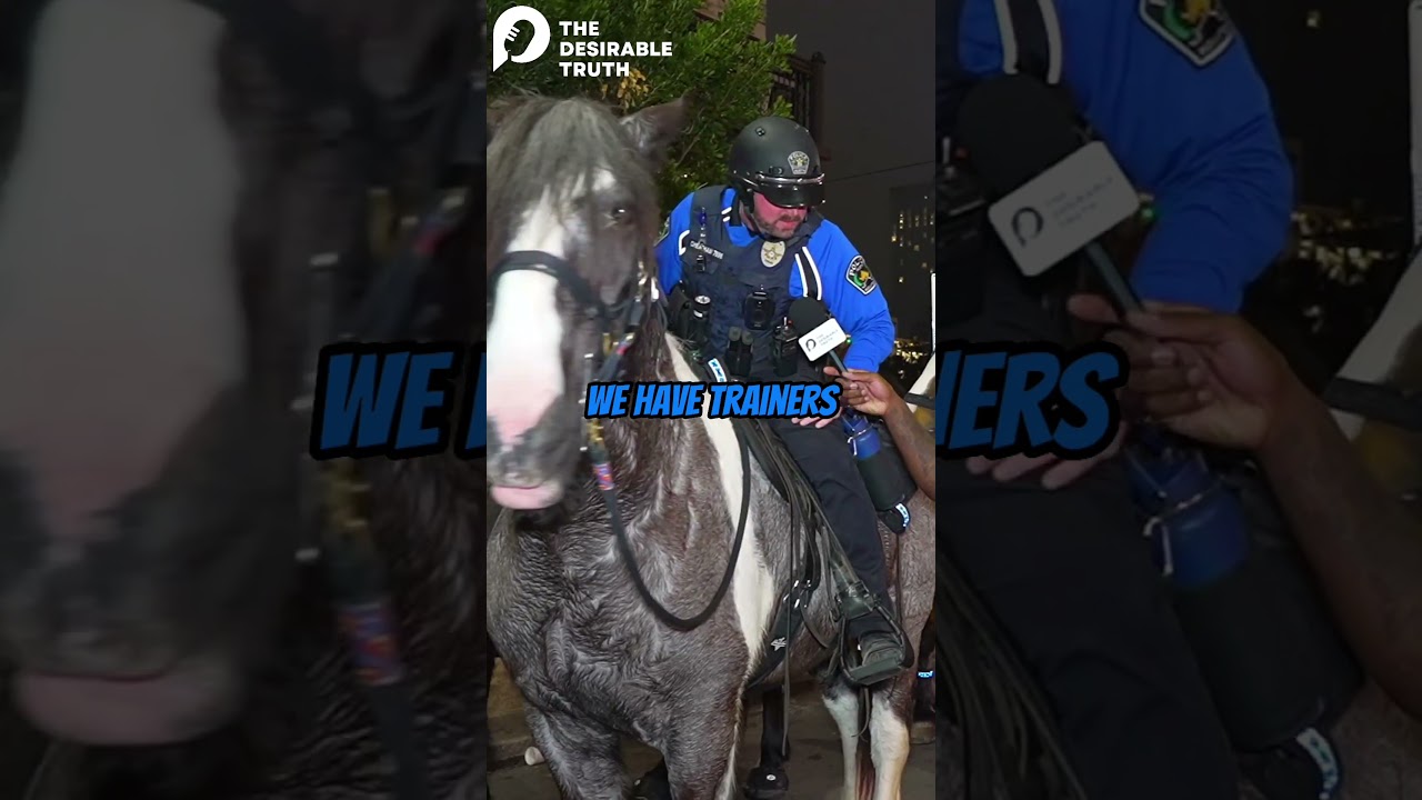 A Day In The Life As A Police Officer On 6th Street Austin Texas